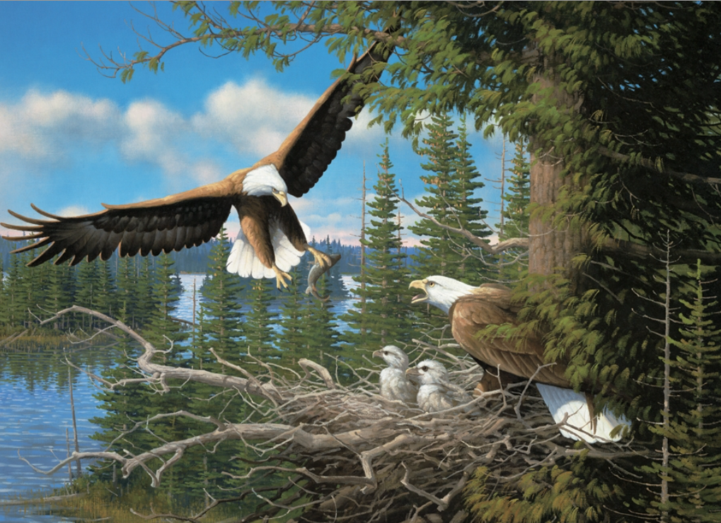 COBBLE HILL NESTING EAGLES 1000 BRIKKER
