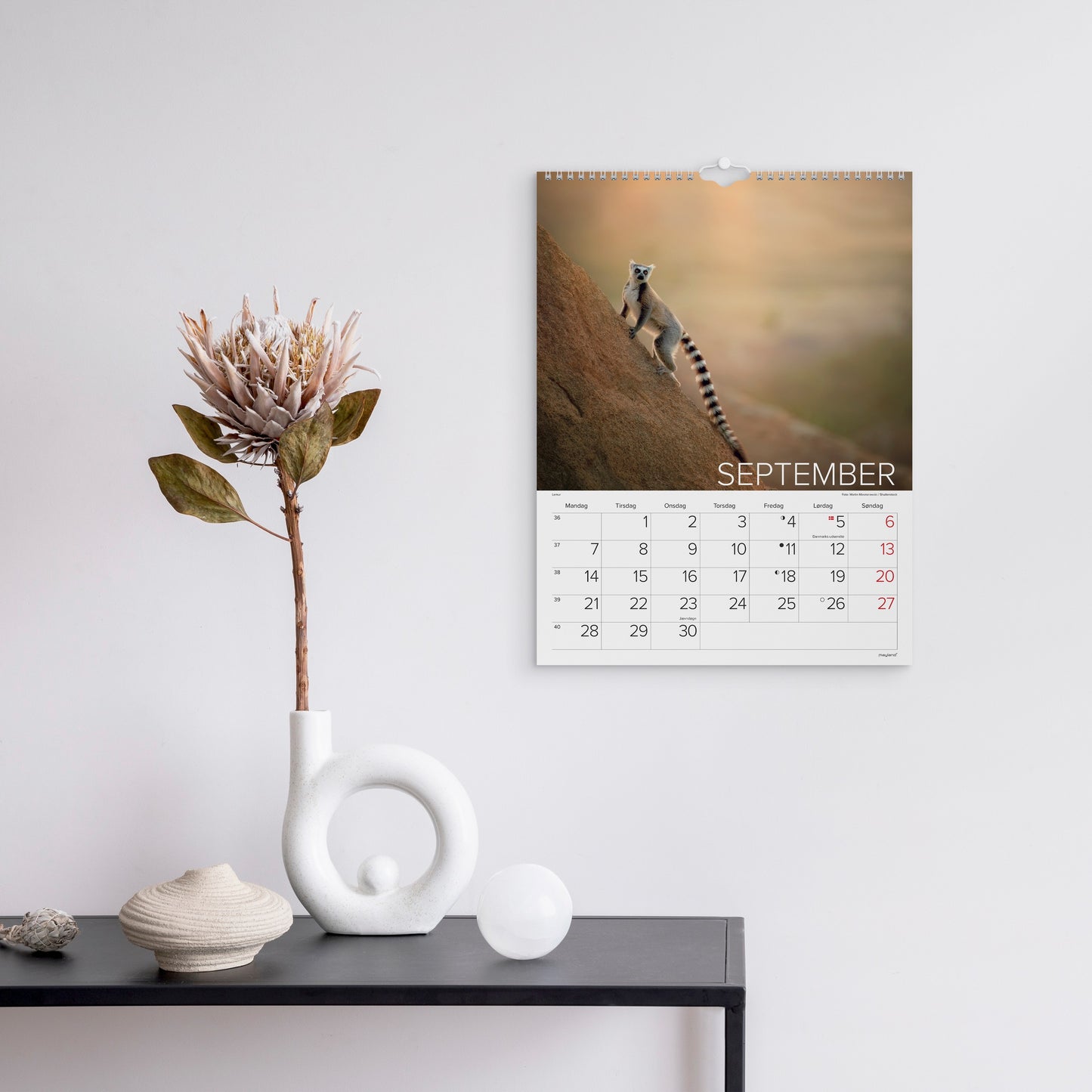 VÆGKALENDER VERDENS DYR 2026