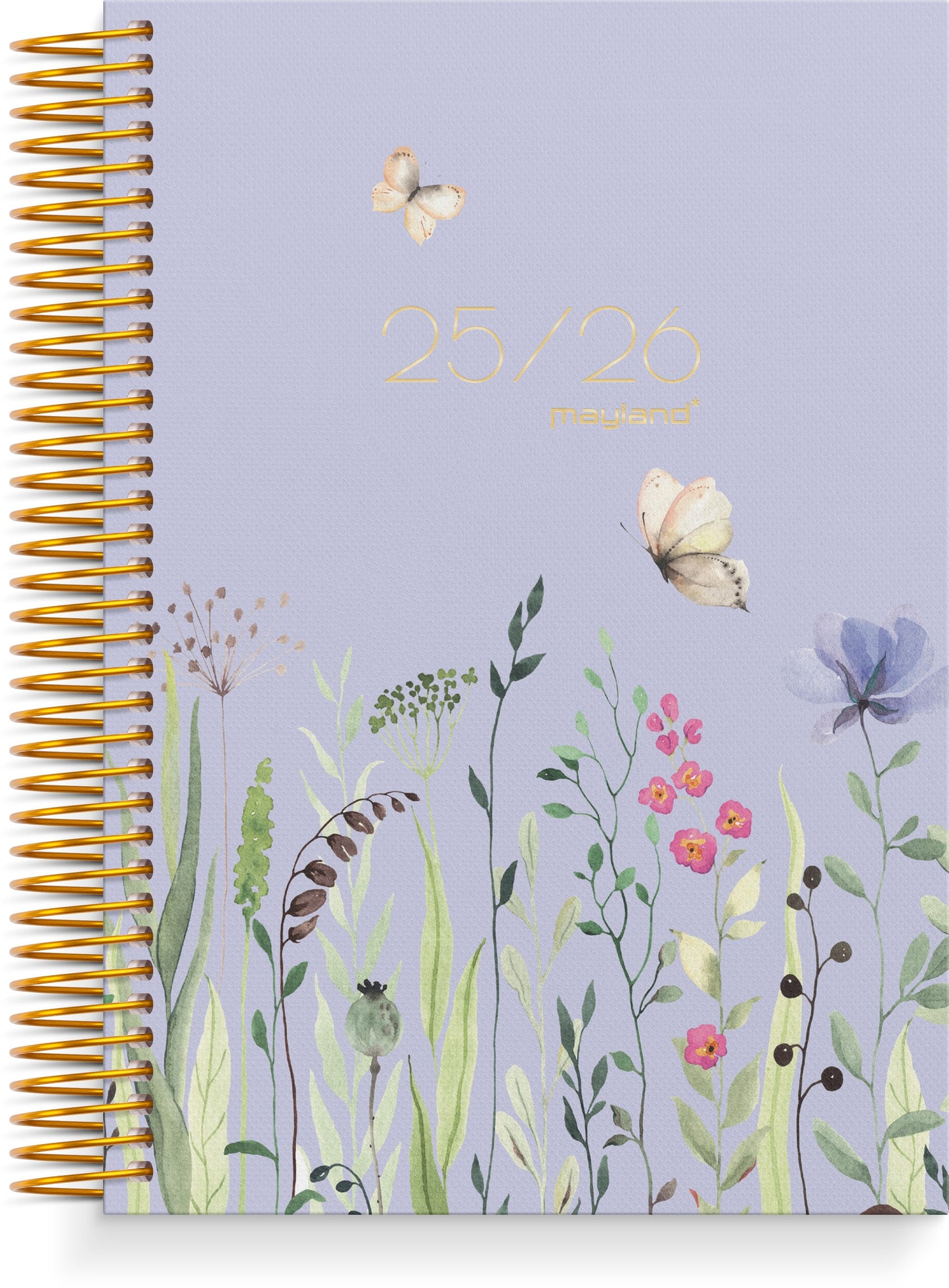 STUDIEKALENDER 25/26 STORY STOR 1 DAG PR. SIDE