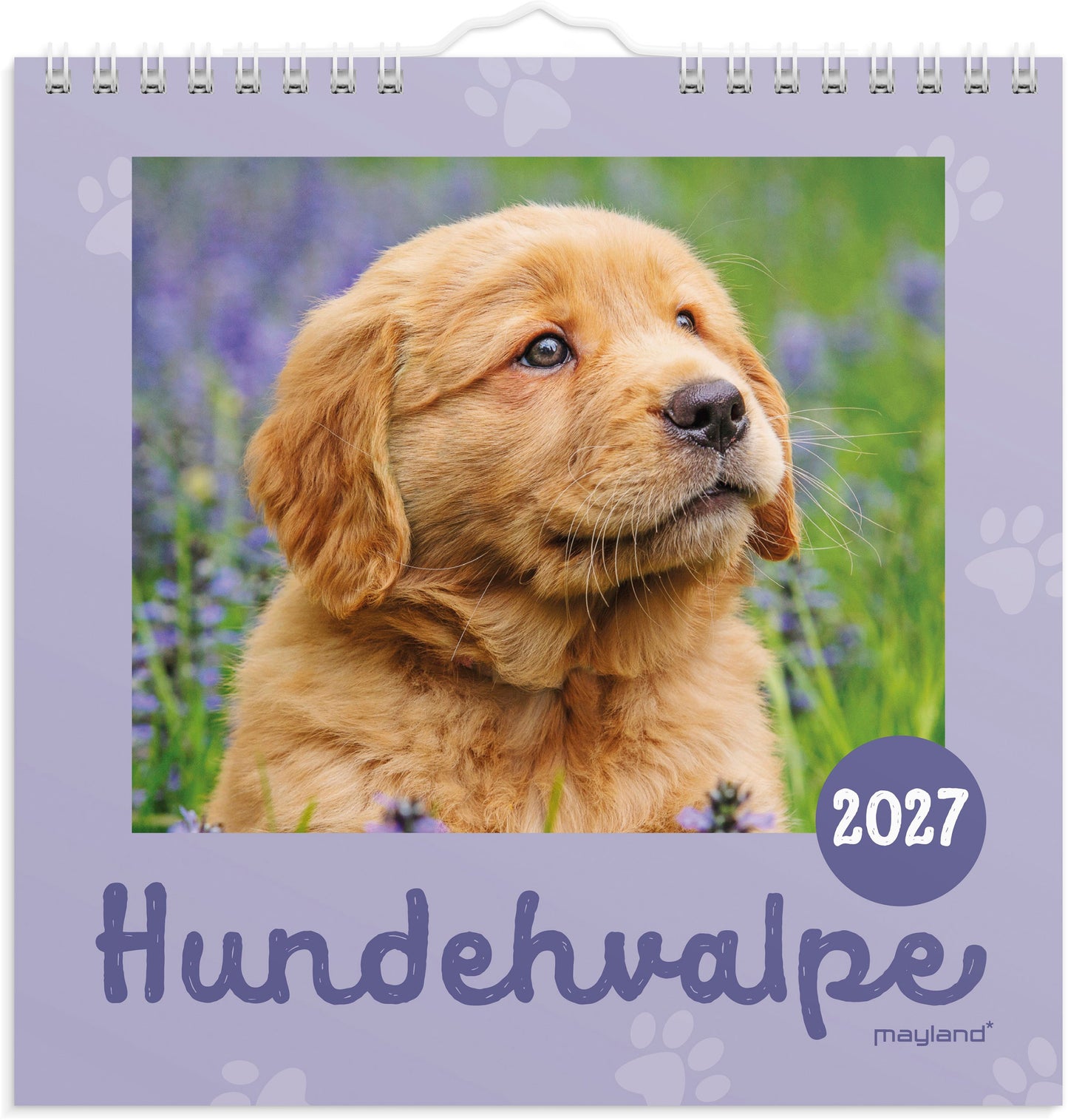 VÆGKALENDER MINI HUNDEHVALPE 2027