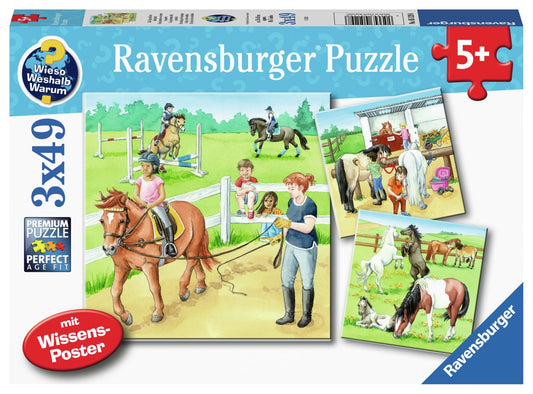 RAVENSBURGER STALDDAG 3 x 49 BRIKKER