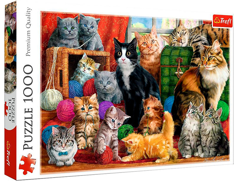 FELINE MEETING 1000 BRIK