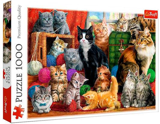 FELINE MEETING 1000 BRIK