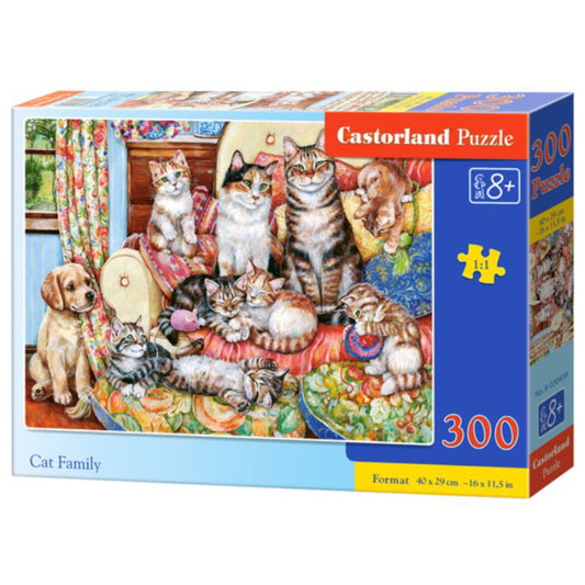 PUSLESPIL KATTEFAMILIE 300 BRK