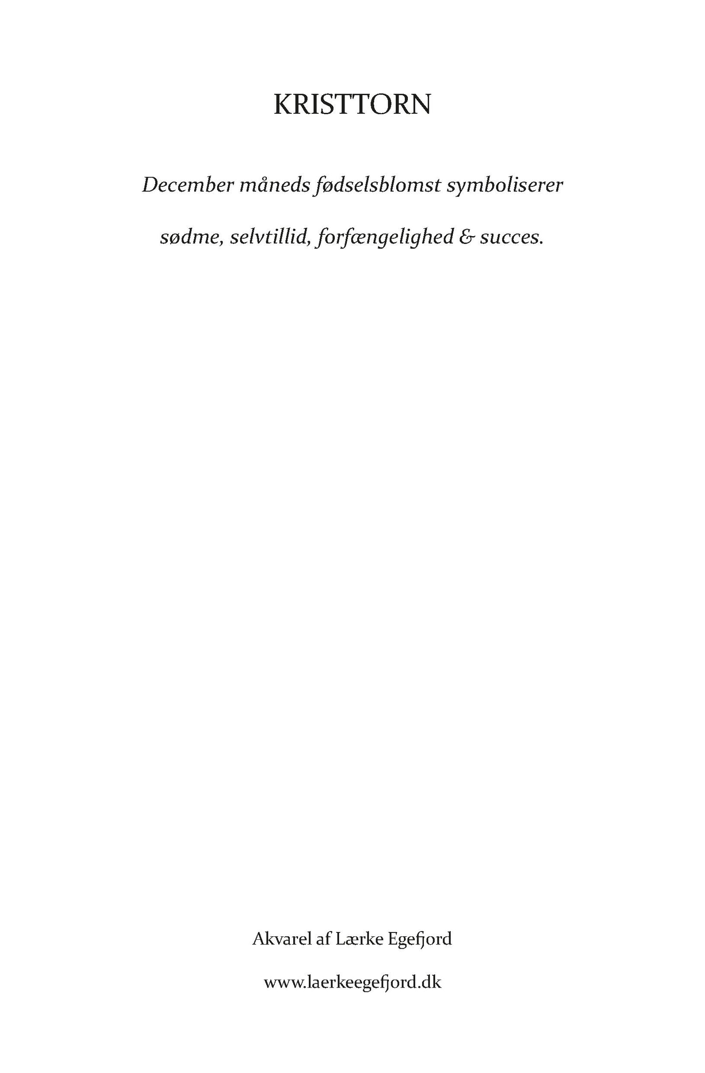 FØDSELSBLOMST KRISTTORN - DECEMBER (A5 KORT)