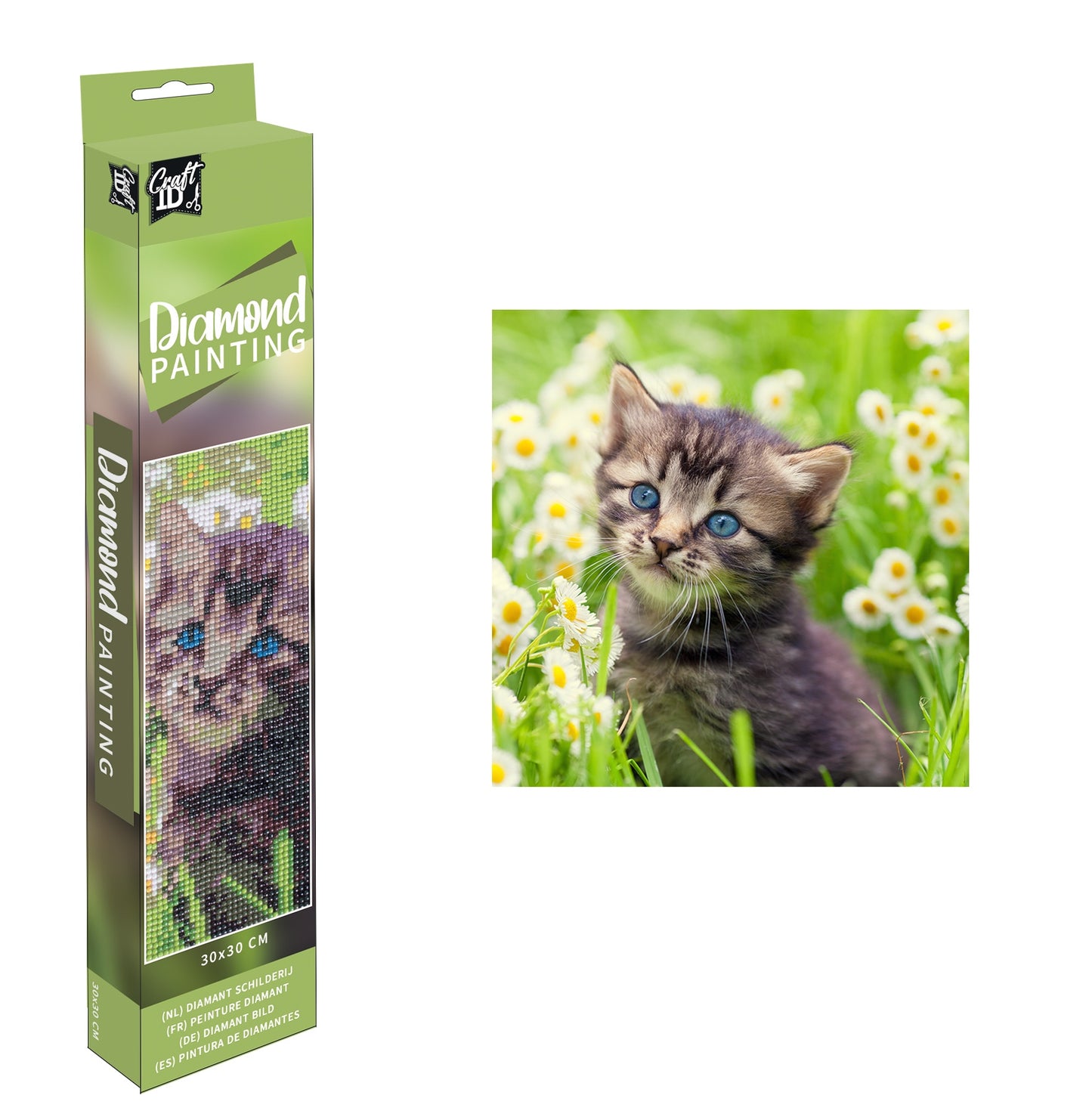 DIAMOND ART - KAT 30 X 30 CM