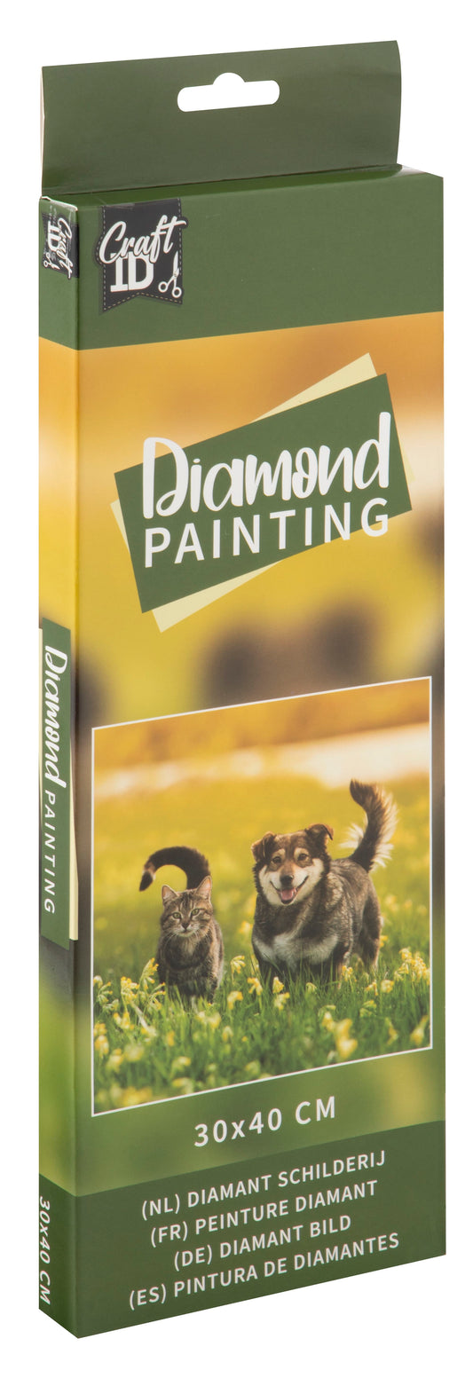 DIAMOND ART - KAT OG HUND 30 X 40 CM