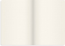 DOTNOTES DELUXE A5 BROWN