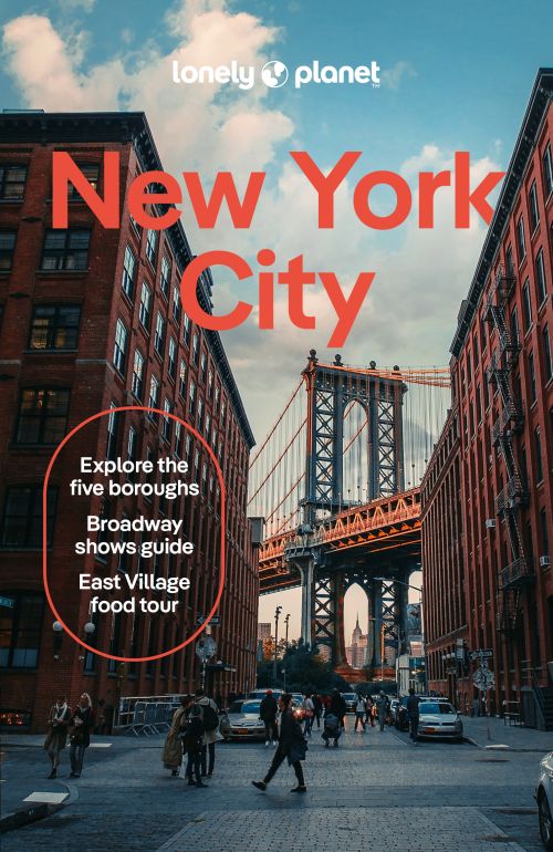 NEW YORK LONELY PLANET