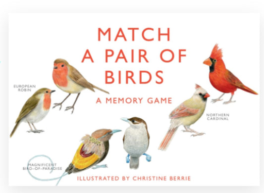 MATCH A PAIR OF BIRDS