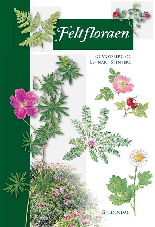 FELTFLORAEN