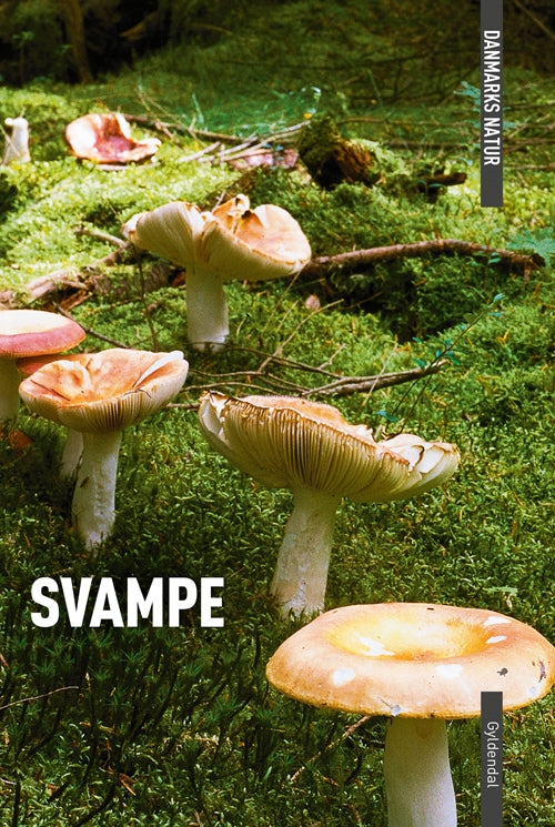 DANMARKS NATUR SVAMPE