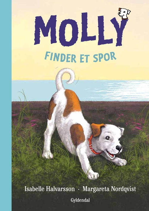 MOLLY 3 - MOLLY FINDER ET SPOR