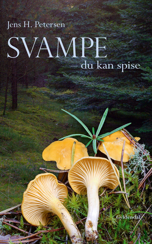 SVAMPE - DU KAN SPISE
