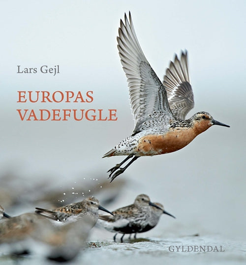 EUROPAS VADEFUGLE