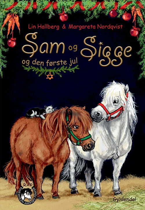 SAM OG SIGGE 5 - SAM OG SIGGE OG DEN FØRSTE JUL