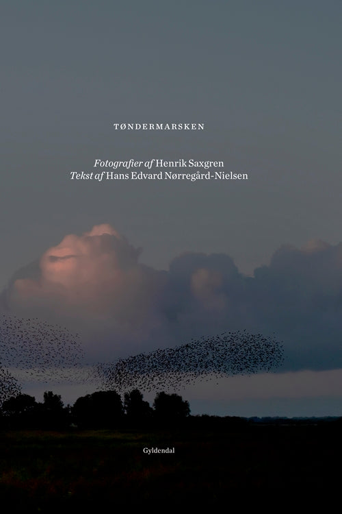 TØNDERMARSKEN