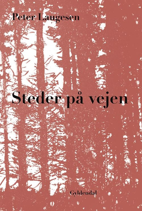 STEDER PÅ VEJEN