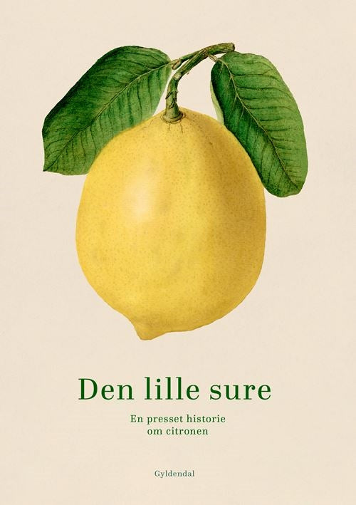 DEN LILLE SURE