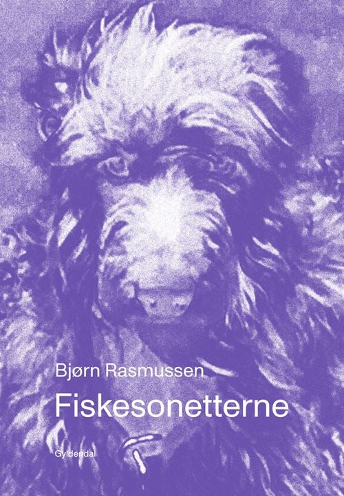 FISKESONETTERNE