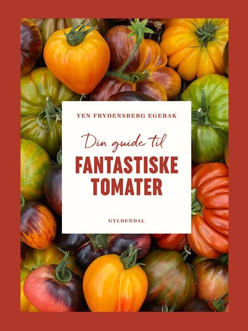 DIN GUIDE TIL FANTASTISKE TOMATER