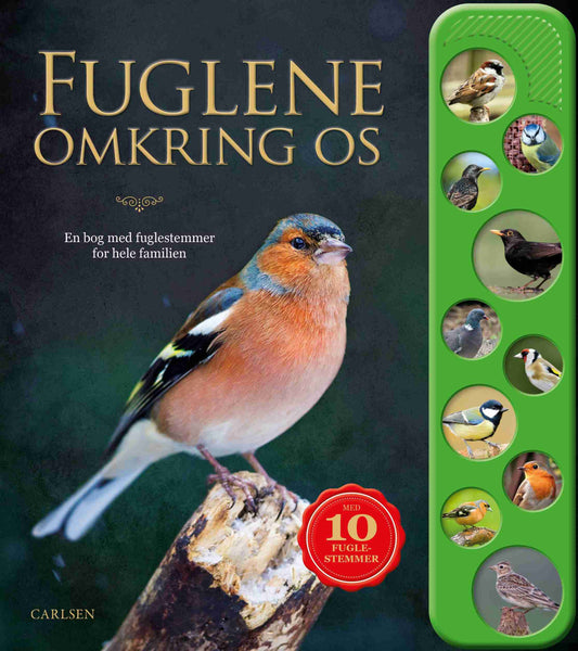 FUGLENE OMKRING OS