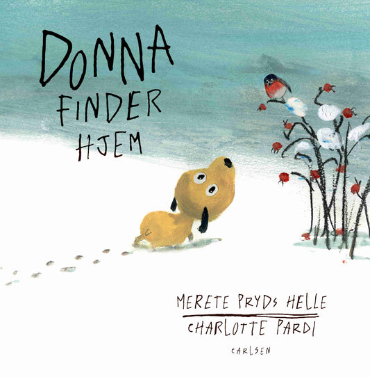 DONNA FINDER HJEM