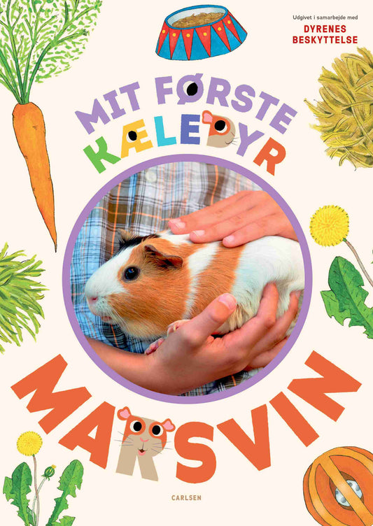 MIT FØRSTE KÆLEDYR - MARSVIN