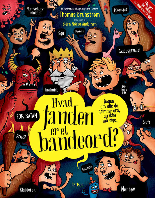 HVAD FANDEN ER ET BANDEORD?