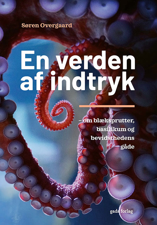EN VERDEN AF INDTRYK