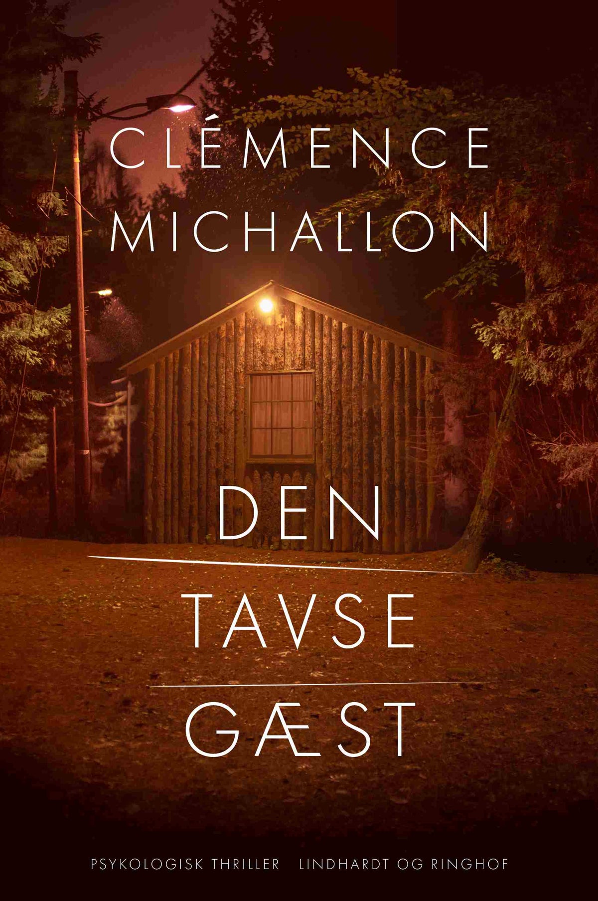 DEN TAVSE GÆST