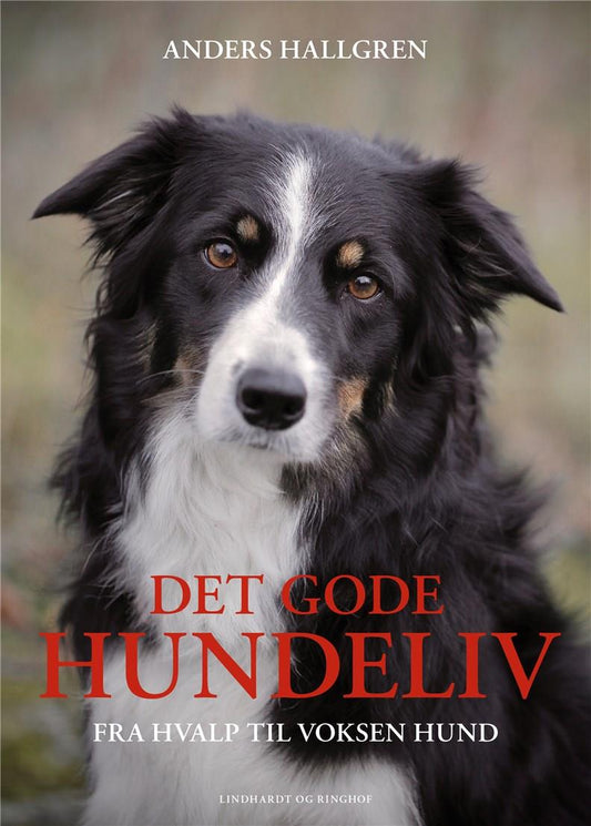 DET GODE HUNDELIV