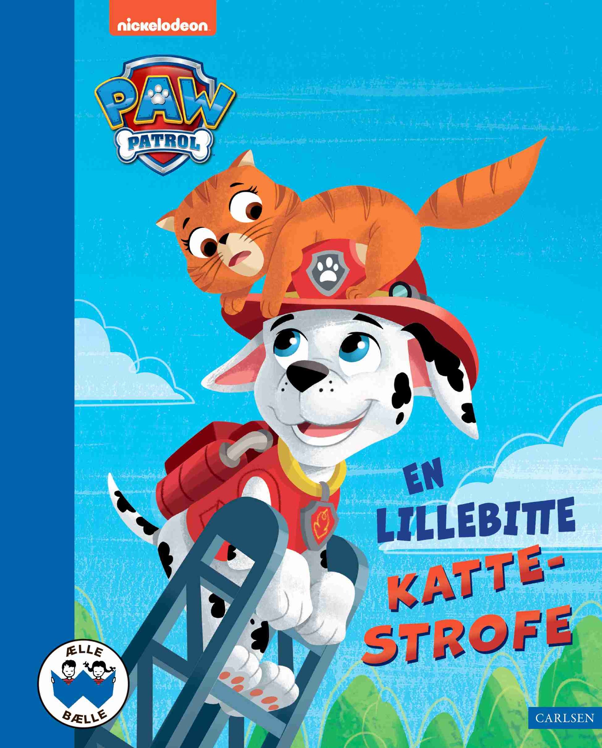 EN LILLEBITTE KATTESTROFE