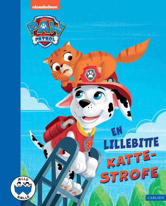 EN LILLEBITTE KATTESTROFE