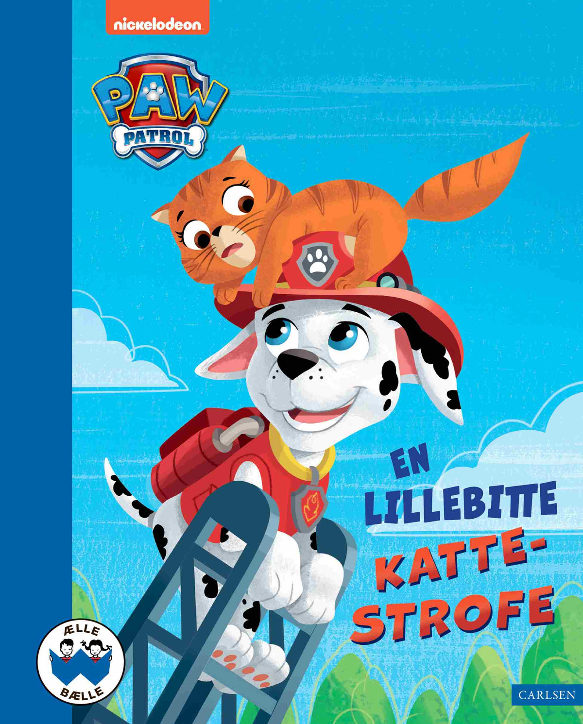 EN LILLEBITTE KATTESTROFE
