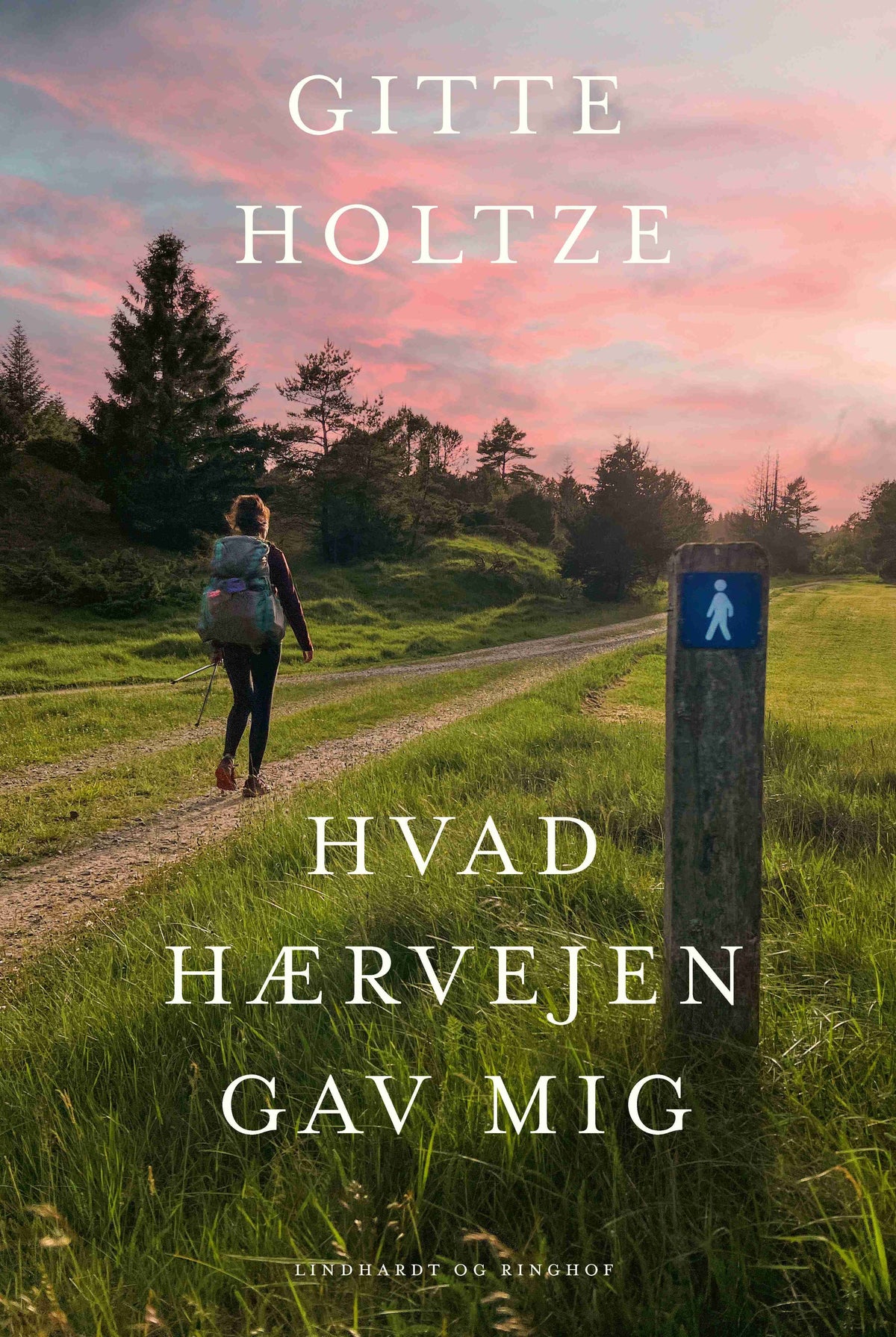 HVAD HÆRVEJEN GAV MIG