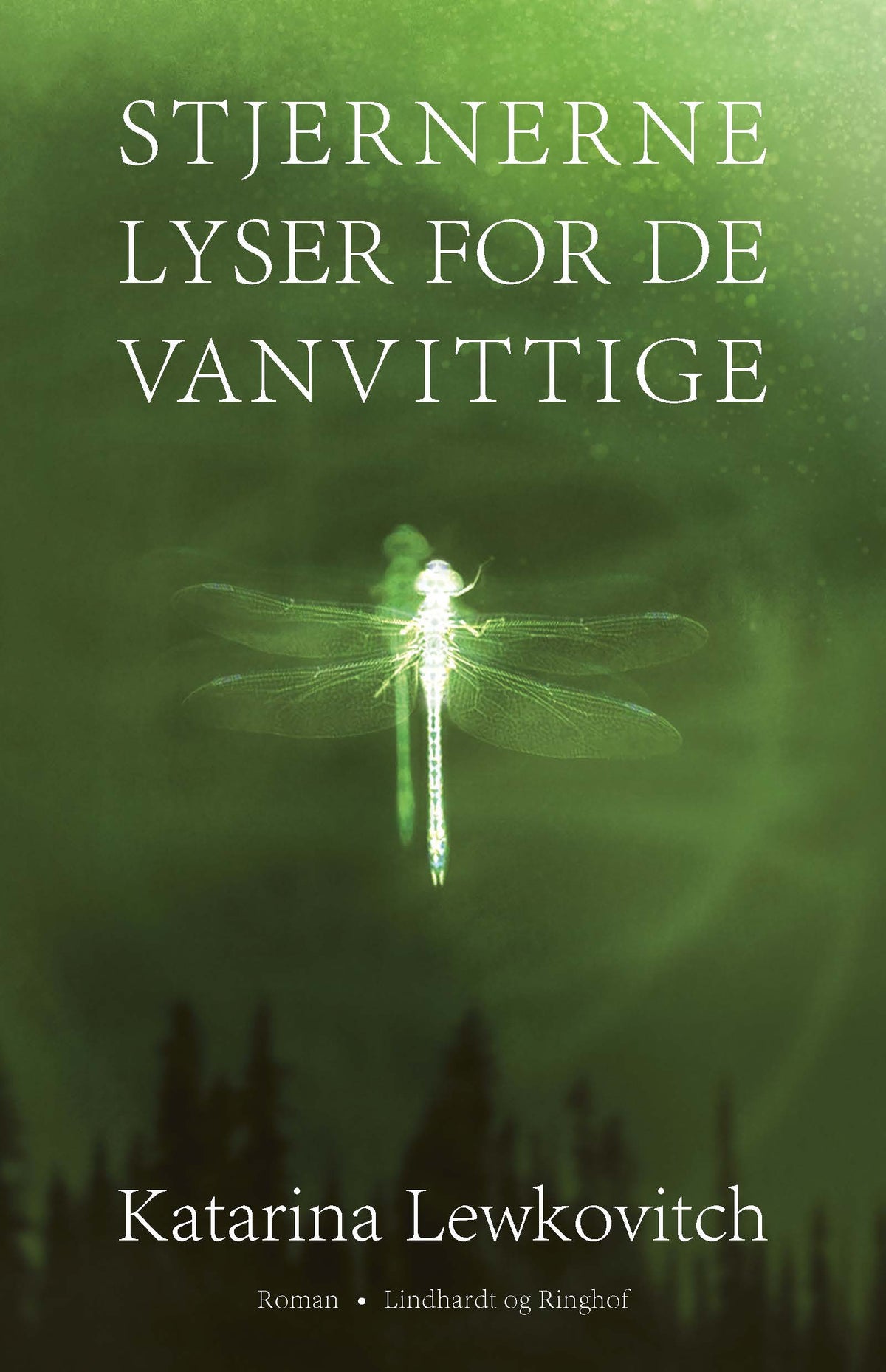 STJERNERNE LYSER FOR DE VANVITTIGE