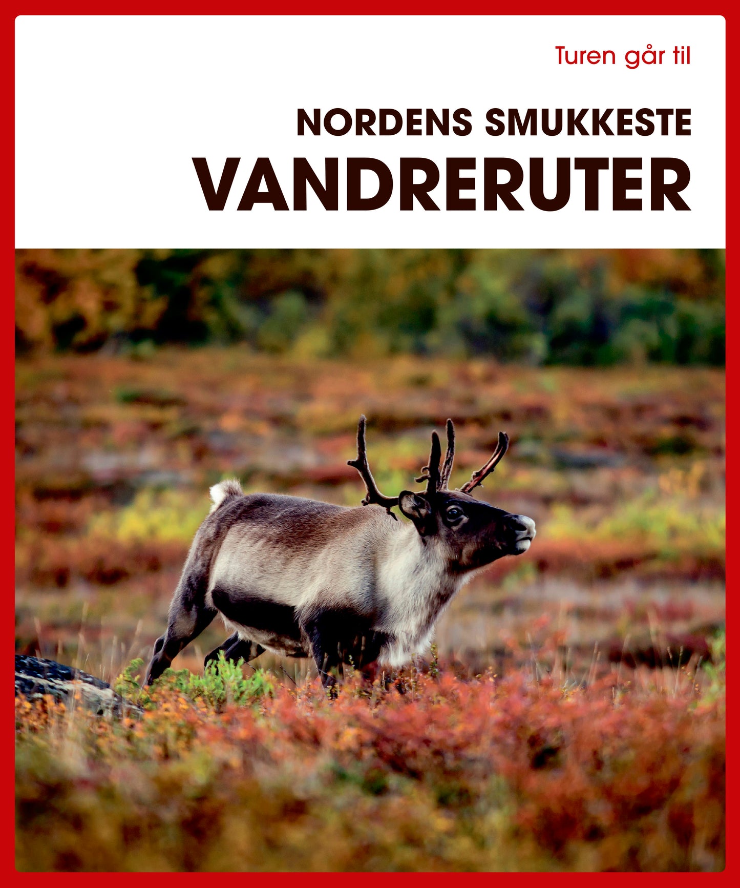 TUREN GÅR TIL NORDENS SMUKKESTE VANDRERUTER