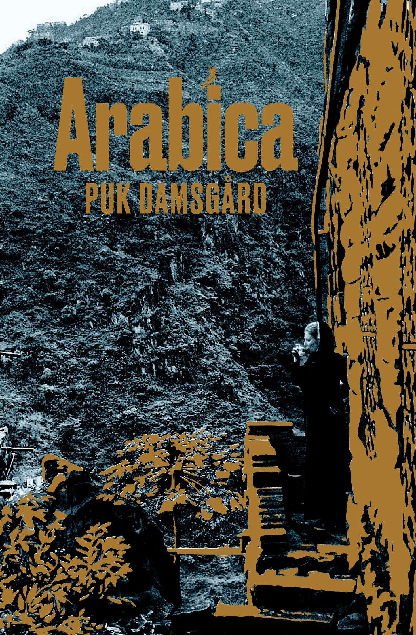 ARABICA