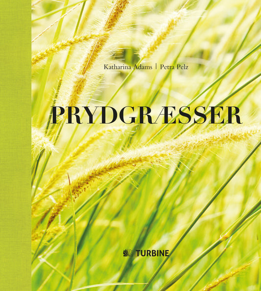 PRYDGRÆSSER