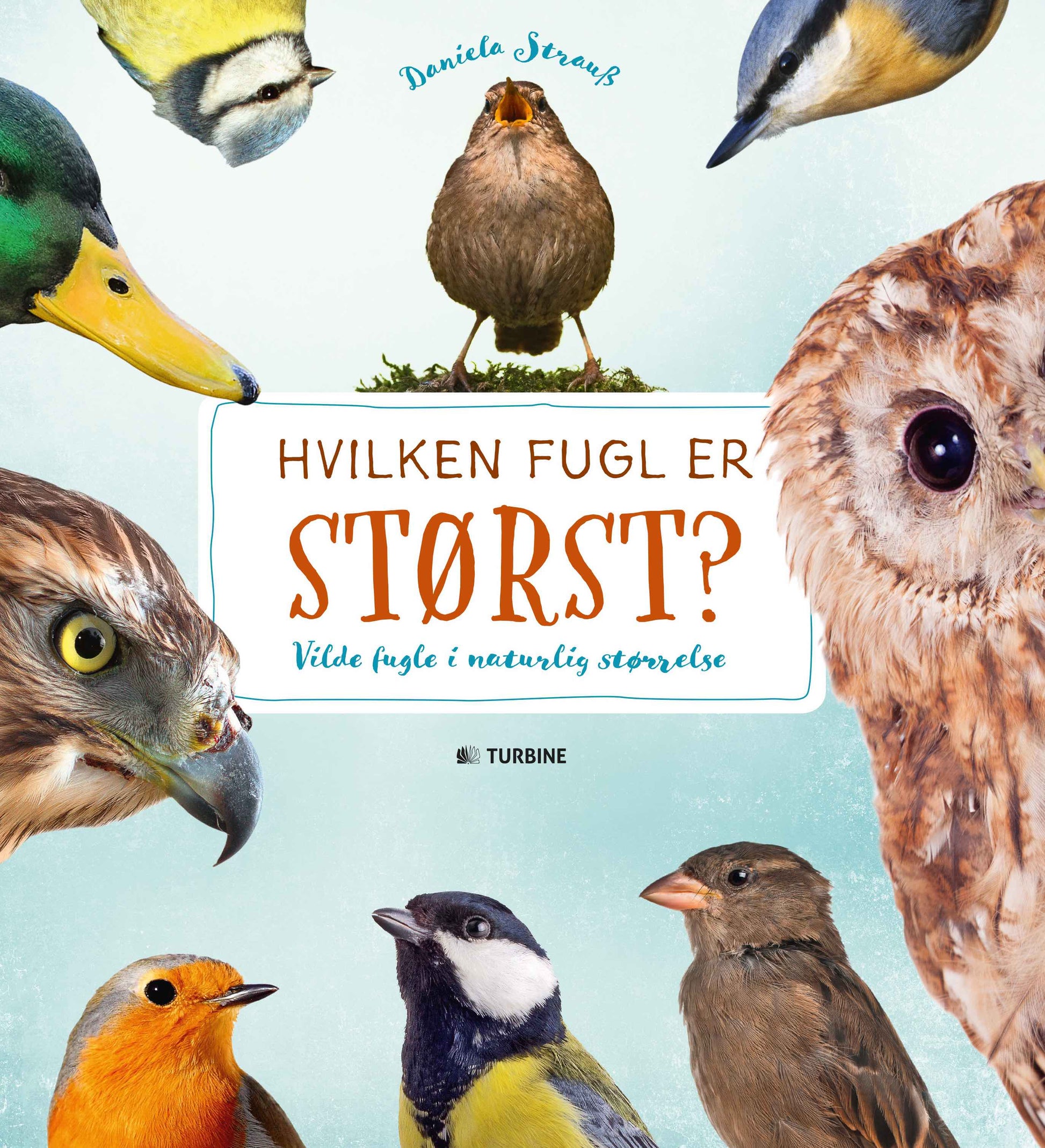 HVILKEN FUGL ER STØRST?