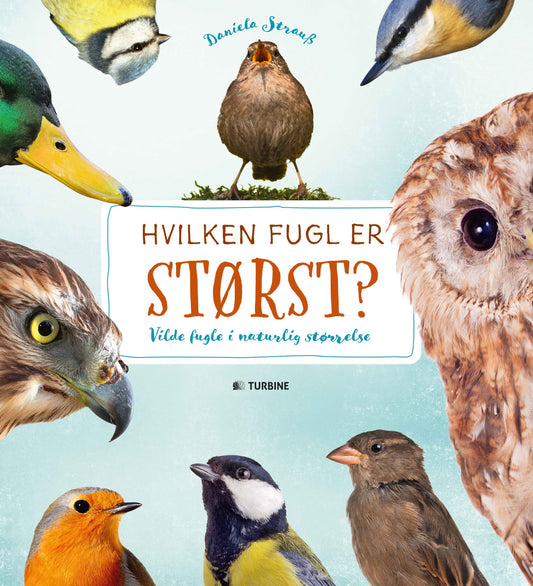 HVILKEN FUGL ER STØRST?