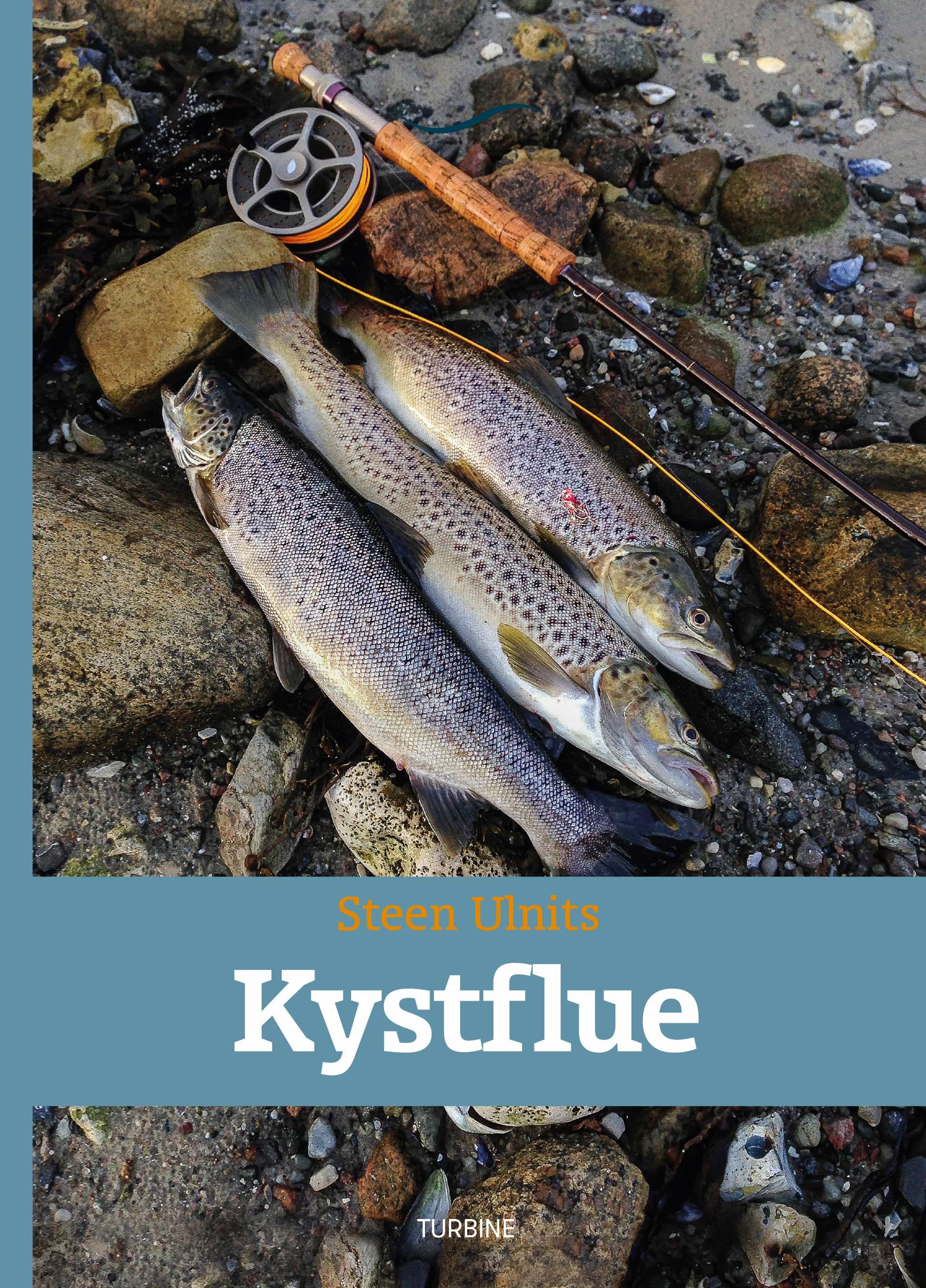 KYSTFLUE