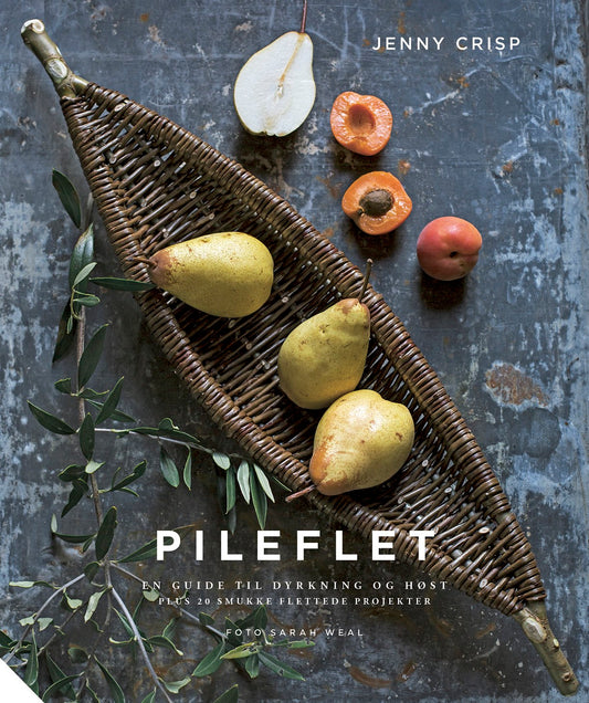PILEFLET