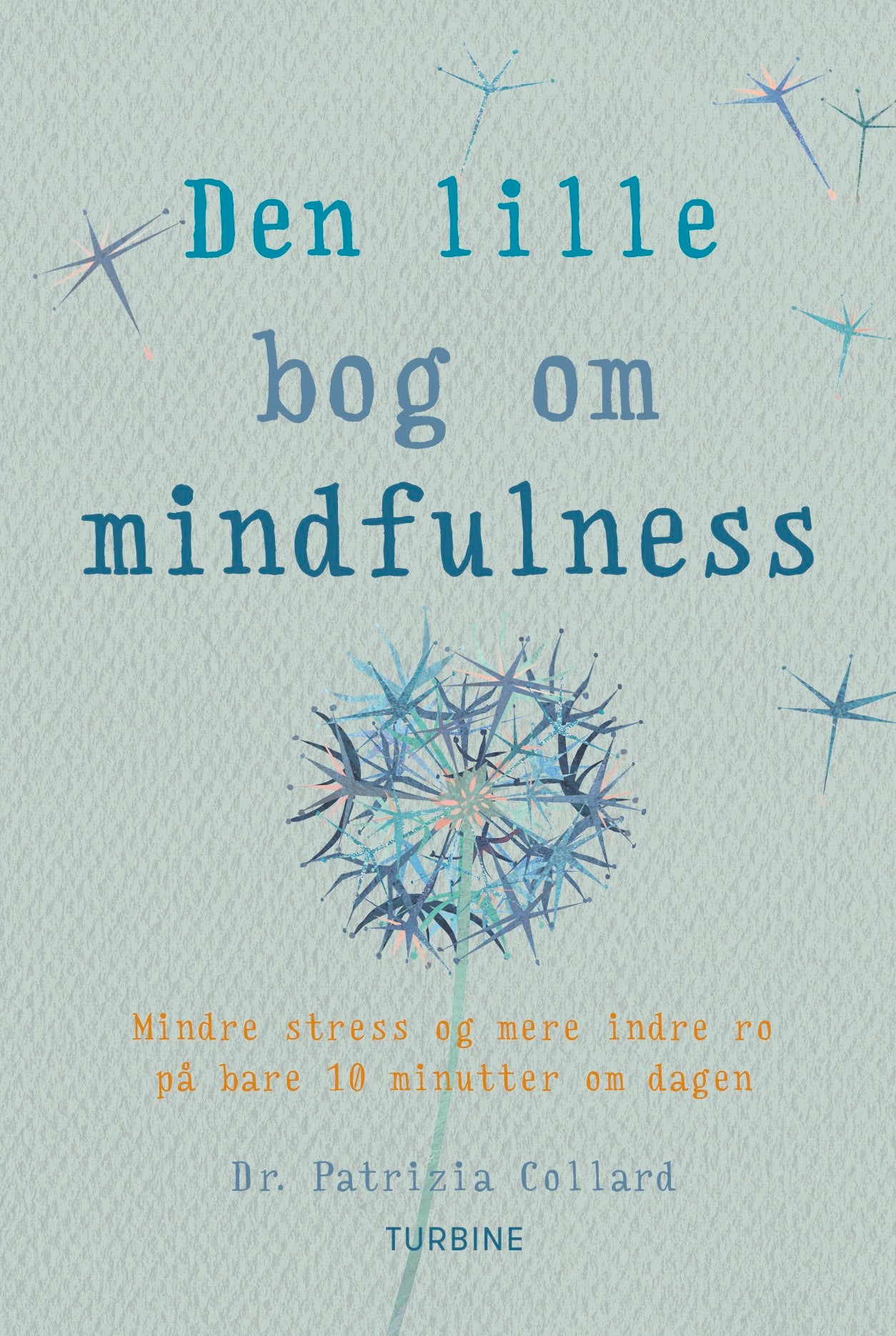 DEN LILLE BOG OM MINDFULNESS