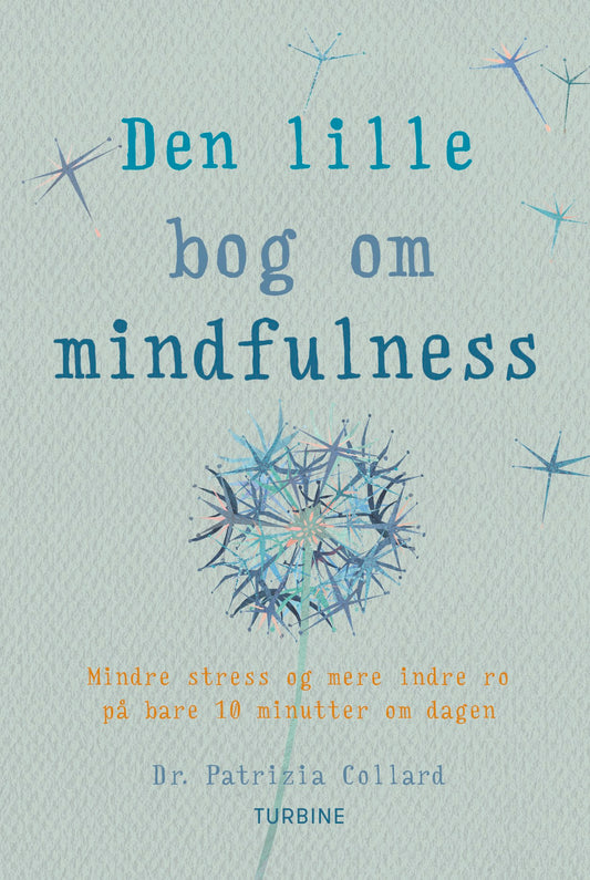 DEN LILLE BOG OM MINDFULNESS