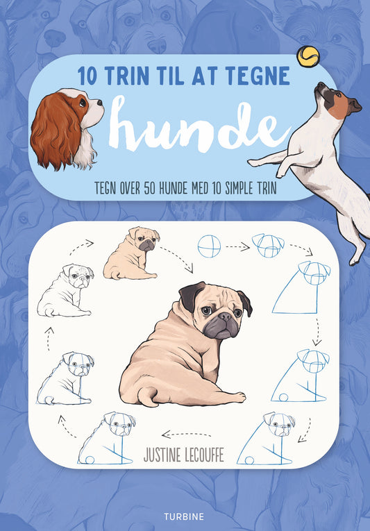 10 TRIN TIL AT TEGNE HUNDE