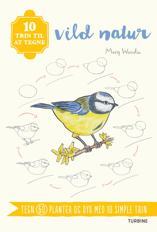 10 TRIN TIL AT TEGNE VILD NATUR