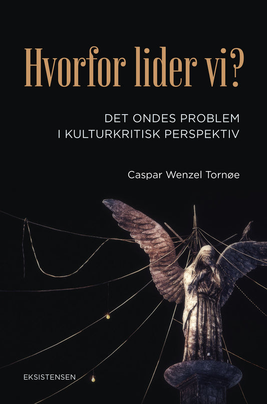HVORFOR LIDER VI