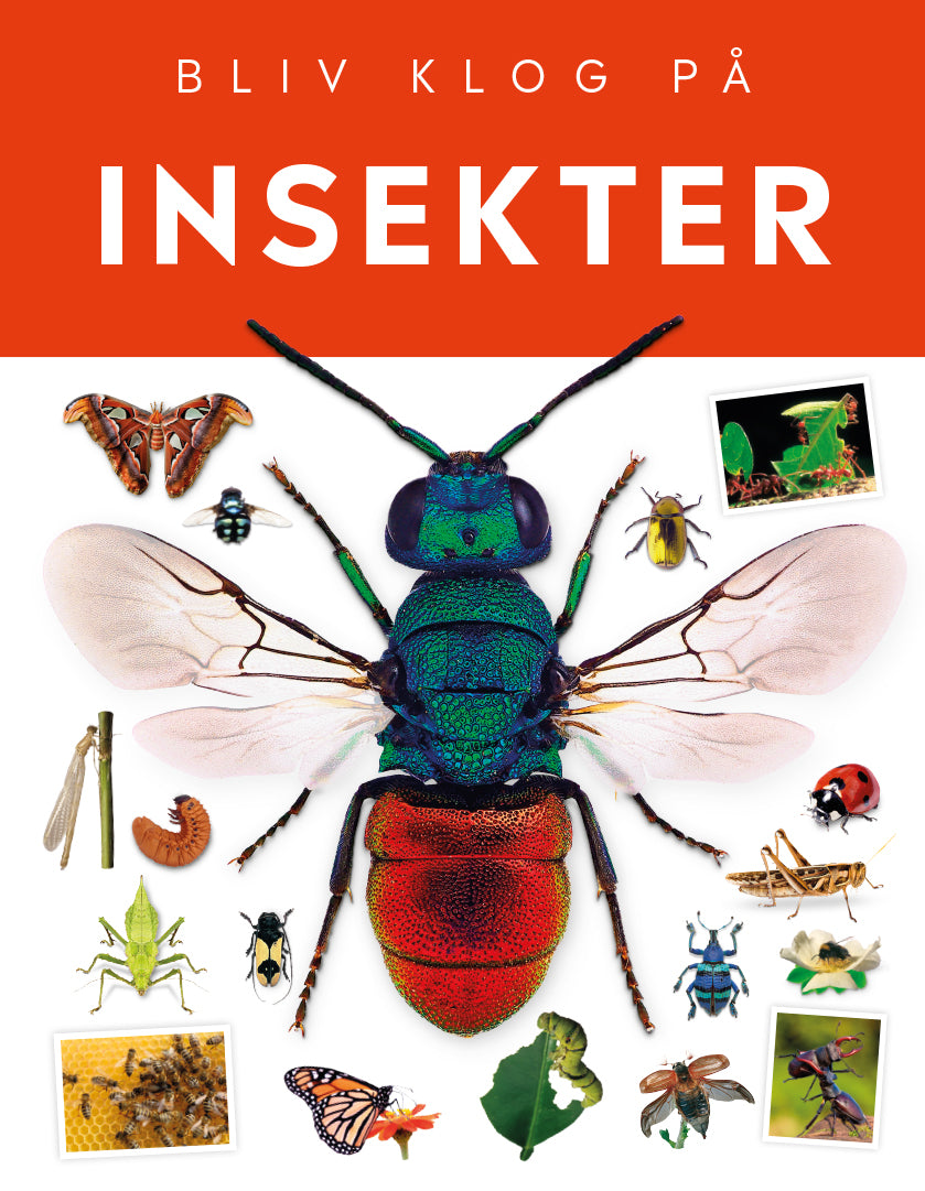 INSEKTER BLIV KLOG PÅ